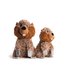 Load image into Gallery viewer, fabdog - Fluffy Beaver: Large
