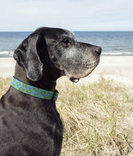 Load image into Gallery viewer, Up Country, Inc. - Sea Turtle Dog Collar: Large / Wide
