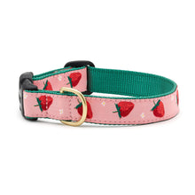 Load image into Gallery viewer, Up Country, Inc. - Strawberry Fields Dog Collar: Small / Narrow