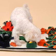 Load image into Gallery viewer, Puppia International Inc. - SWAMPY NOSEWORK DOG TOY FOR EXERCISE TRAINING BOREDOM: CREAM/GREEN / M