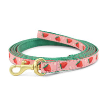Load image into Gallery viewer, Up Country, Inc. - Strawberry Fields Small Breed Dog Lead
