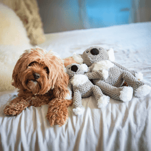 Load image into Gallery viewer, fabdog - Floppy Koala: Large
