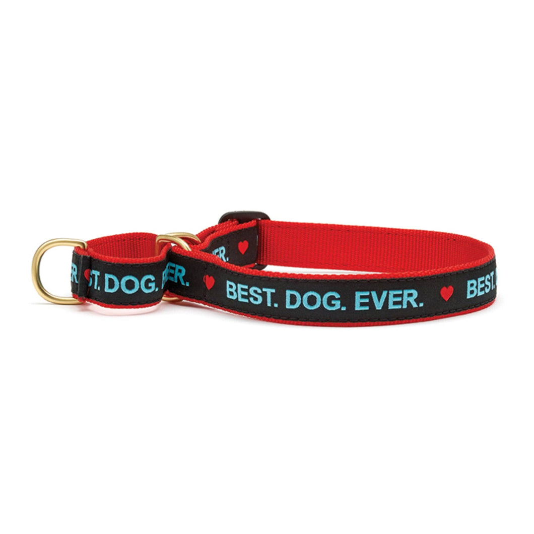 Up Country, Inc. - Best Dog Ever Martingale Dog Collar: Medium / Wide