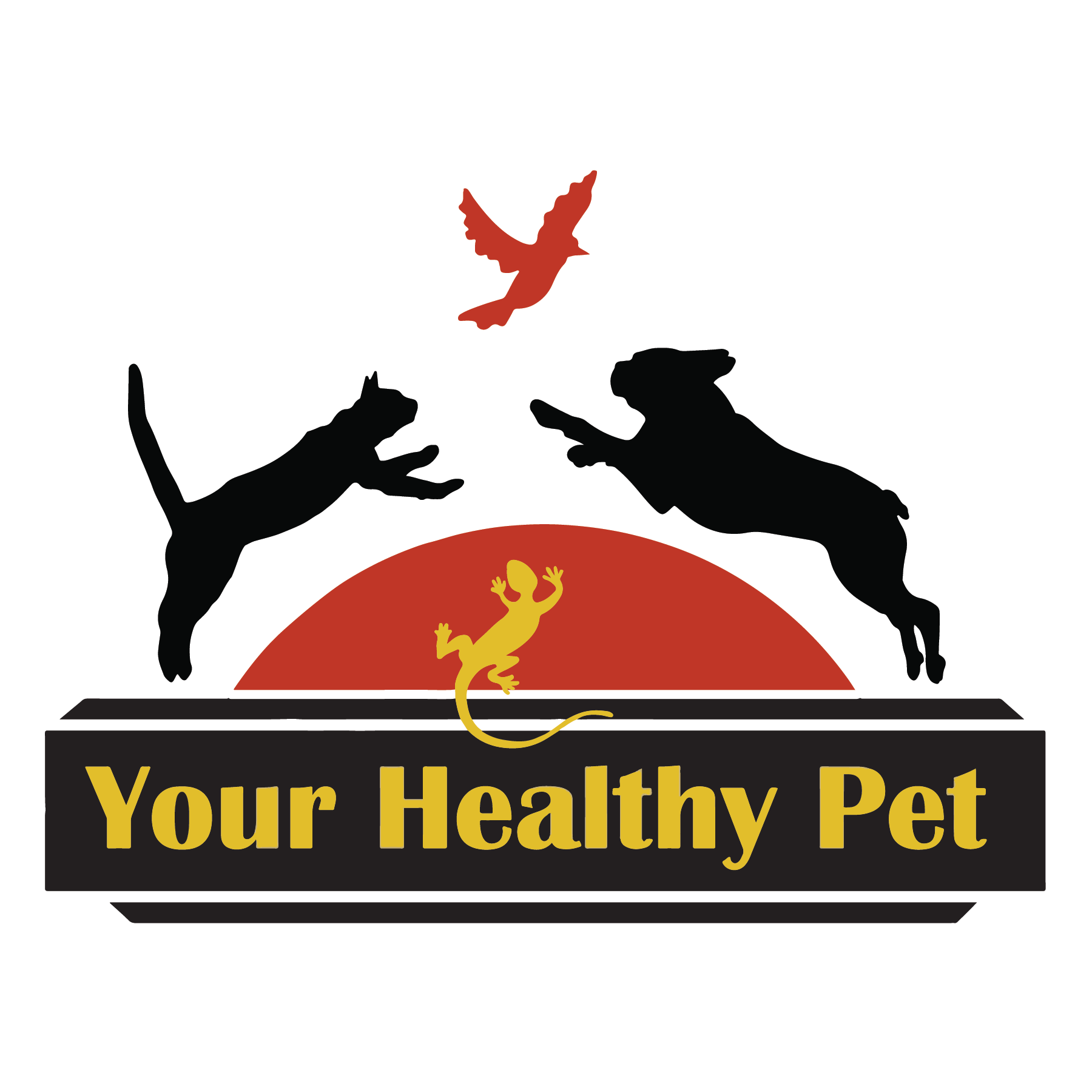 Healthy pet stores near me clearance