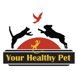YHP Logo