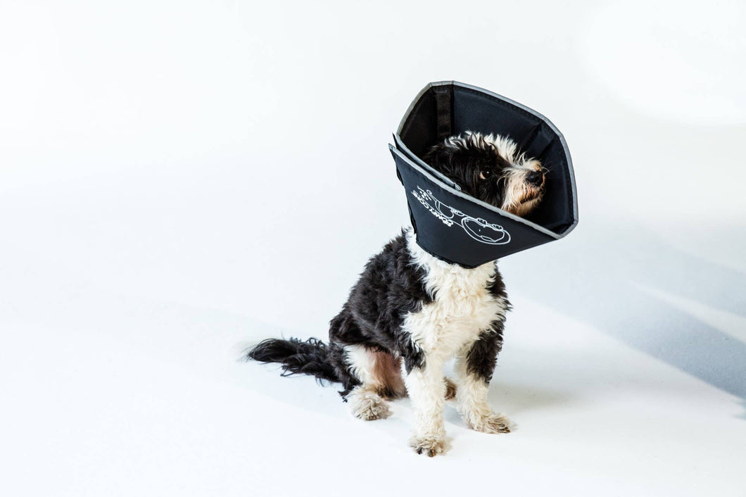 Comfy cone the original Clearance