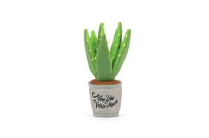 P.L.A.Y. Pet Lifestyle and You - Blooming Buddies - Aloe-ve You Plant